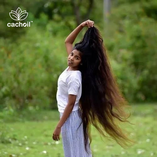 Original Adivasi Cachoil.